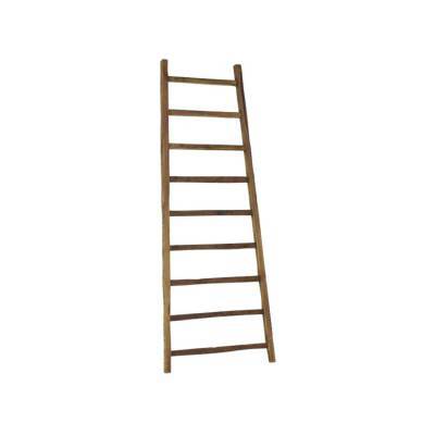 D-Bodhi Ladder High Big D-Bodhi Ladder High Big