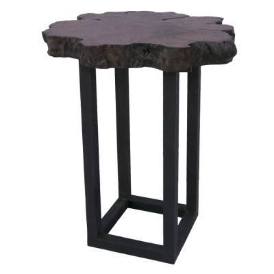 PTMD Bartafel Boomstam PTMD Bartafel Boomstam