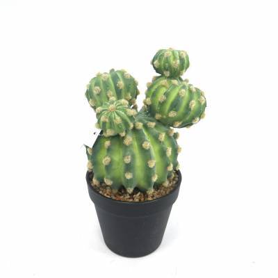 By-Boo Fake Cactus 2 By-Boo Fake Cactus 2