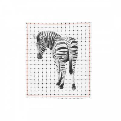 Present Time Theedoek Tiles Zebra Present Time Theedoek Tiles Zebra