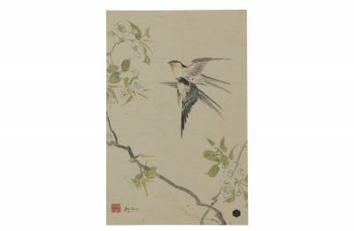 Poster Swallows - XL - BePure Poster Swallows - XL - BePure