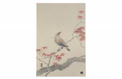 Poster Waxwing - XL - BePure Poster Waxwing - XL - BePure