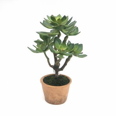 By-Boo Fake Plant 20 By-Boo Fake Plant 20