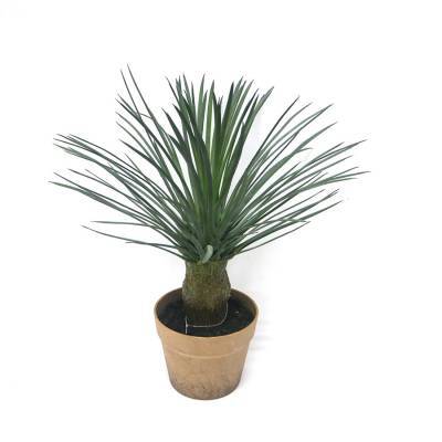 By-Boo Fake Plant 25 By-Boo Fake Plant 25