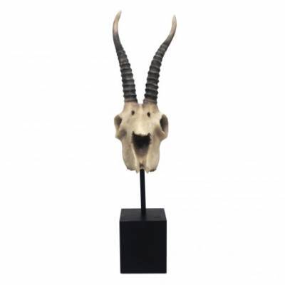 PTMD Skull Statue Naturel PTMD Skull Statue Naturel