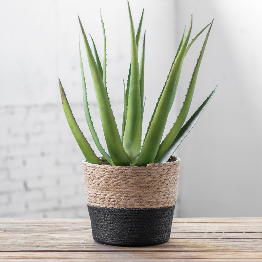 Plantenmand Zeegras - Naturel/Zwart - Rond - Ø25x22cm - Het Mandenhuys