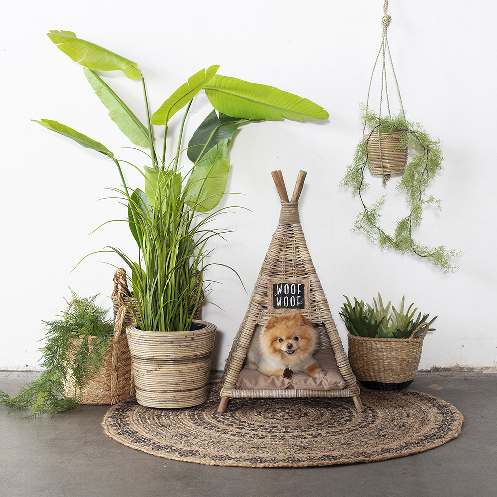 Hondenmand Tipi - Rotan - Naturel - 50x50x80cm - Mand Bobbie - Het Mandenhuys