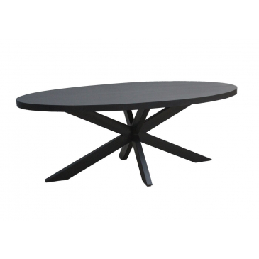 Eettafel Kala Ovaal Spinpoot 210 cm - Giga Meubel
