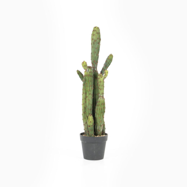 By-Boo Kunstplant Cactus