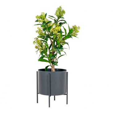 House Nordic Kunstplant Skimmia Tree 75cm