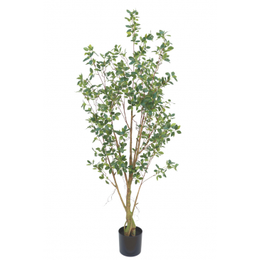 PrettyPlants Kunstplant Ficus 180cm
