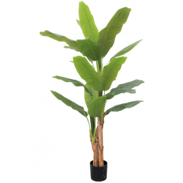 PrettyPlants Kunst Bananenplant Baloo 180cm