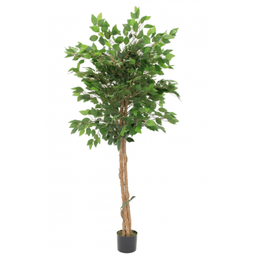 PrettyPlants Kunst Ficus 150cm