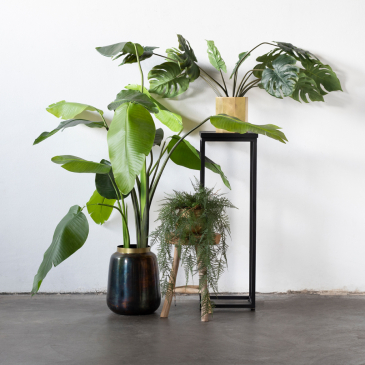 Plantenstandaard Pure Black - Giga Meubel 