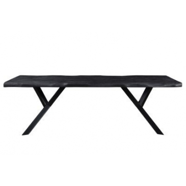 I-Catchers Tafelblad Mercury Zwart 200x100cm