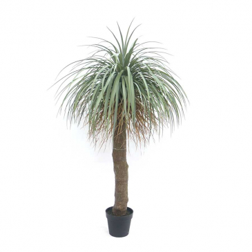 By-Boo Kunstplant Agave Boom Met Pot