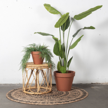 Salontafel Helena Naturel Ø43 - Giga Meubel  