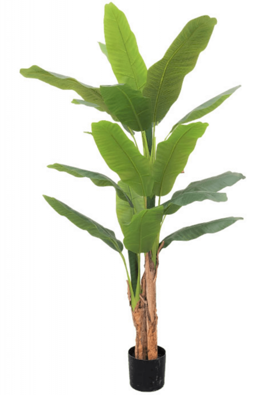 PrettyPlants Kunst Bananenplant Baloo 180cm