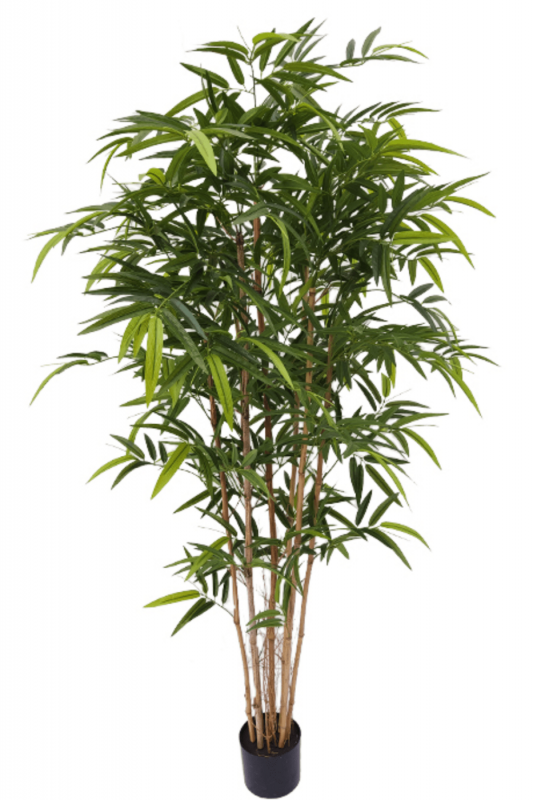PrettyPlants Kunstplant Bamboe 180cm