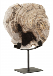 Must Living Deco Object Fossil Versteend Hout 33cm