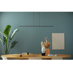 Steinhauer Zelena Hanglamp Zwart 122cm