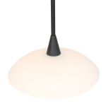 Steinhauer Tallerken Hanglamp Zwart 3-lichts