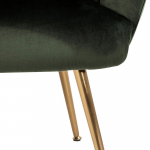 Fauteuil Philadelphia Groen - Giga Living