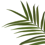 Coco Maison Kunstplant Kentia Palm 180cm