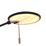 Steinhauer Zenith LED Vloerlamp Zwart 84cm