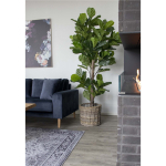 House Nordic Kunstplant Fiddle Leaf Boom 190cm