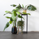 Plantenstandaard Pure Black - Giga Meubel 