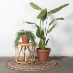 Salontafel Helena Naturel Ø43 - Giga Meubel  