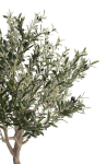 Coco Maison Kunstplant Olive Tree 180cm Groen