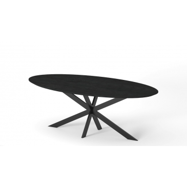 I-Catchers Tafelblad Fort Ovaal Zwart Lange Planken 240x120cm