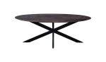 Eettafel Ziggy Bruin Ovaal 200cm X-poot - Giga Meubel