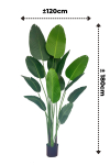 PrettyPlants Kunstplant Strelitzia Mitchel 180cm