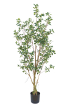 PrettyPlants Kunstplant Ficus 180cm
