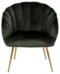 Fauteuil Philadelphia Groen - Giga Living