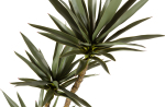 Woood Yucca Kunstplant Groen 155cm