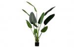 Woood Strelitzia Kunstplant Groen 164cm