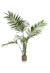 Coco Maison Kunstplant Kentia Palm 180cm