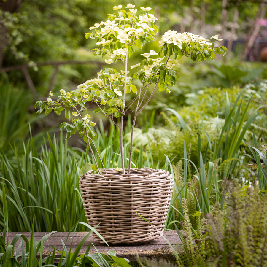 Van der Leeden Rotan Plantenbak XL - (D)68 x (H)52 cm - Grey