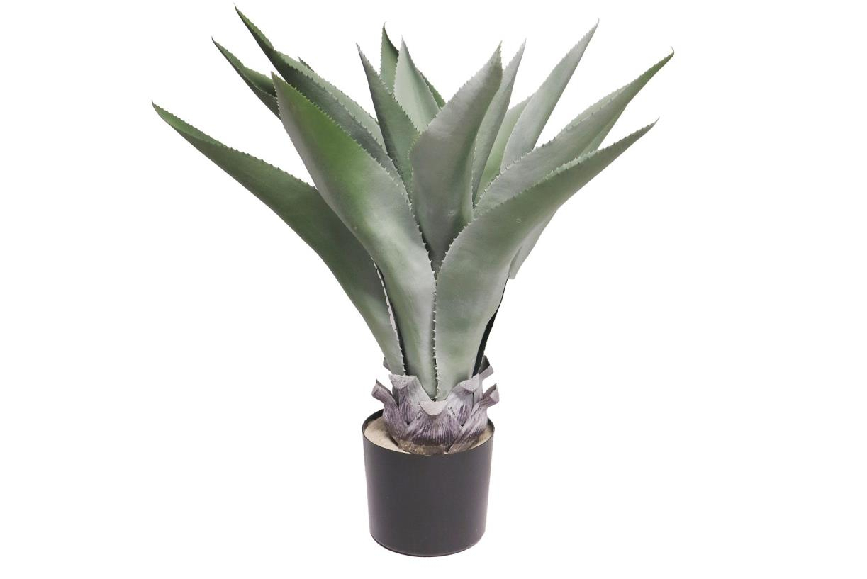 Zijde "Agave parryi" grijs