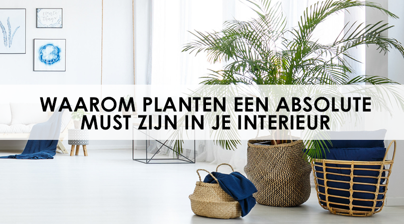 Banner-planten Banner
