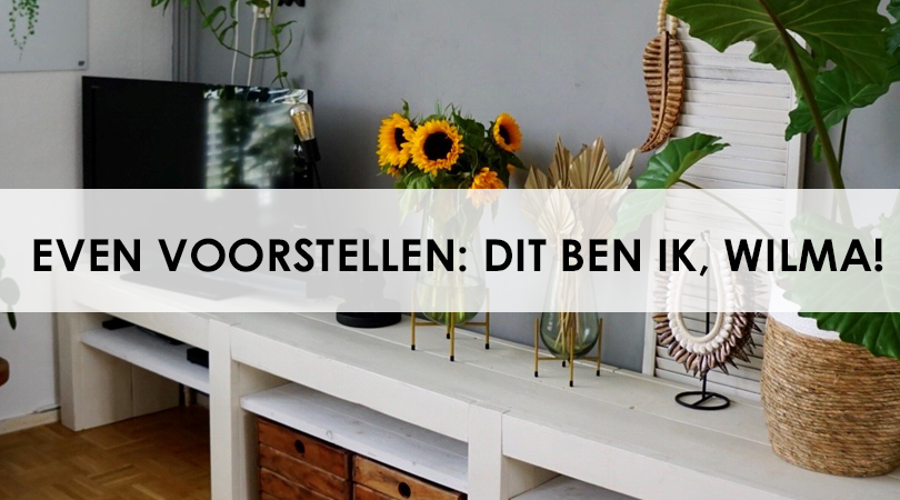 banner banner